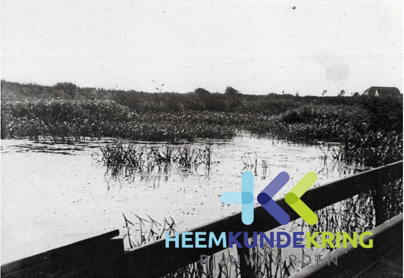RW-OudeRijn.07-BergscheHoofd.Pontveer020949 F00003239
